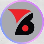Bravido
